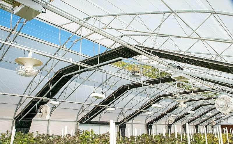 Blackout Greenhouse Film