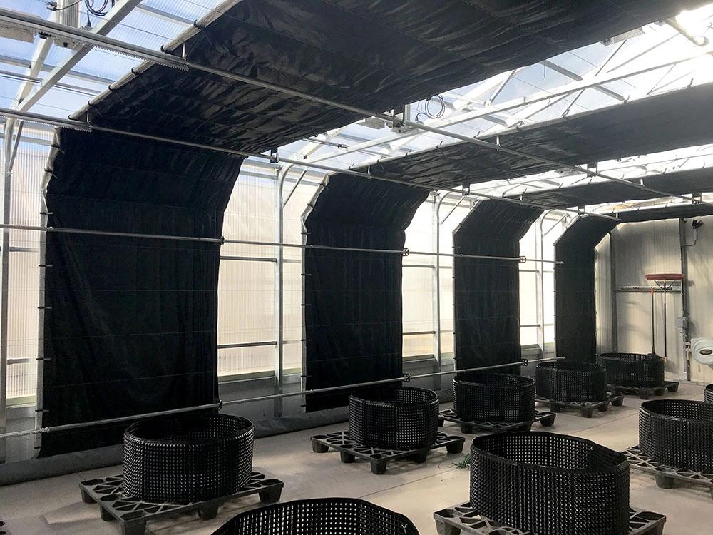 Blackout Greenhouse Film