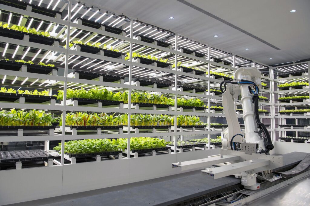 container vegetable farming system