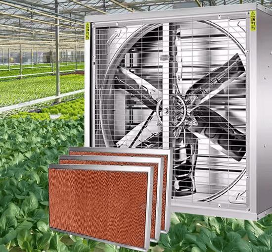 greenhouse cooling system