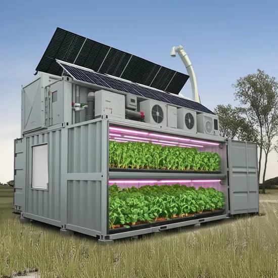 hemp container farming system