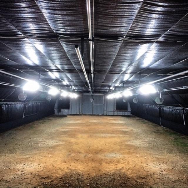 Blackout Greenhouse Film