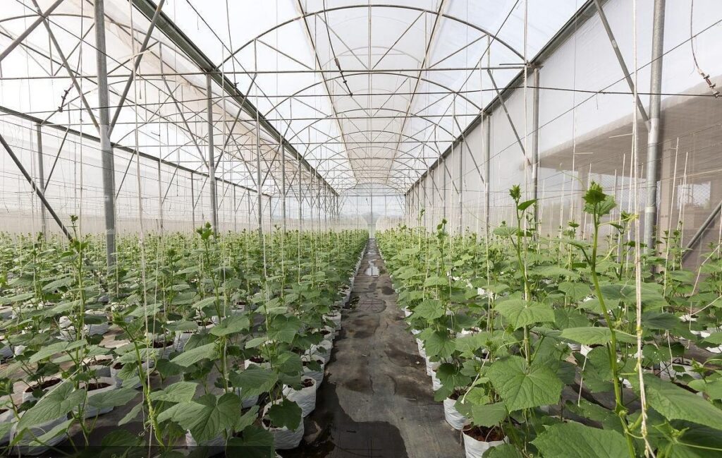 commercial greenhouse film