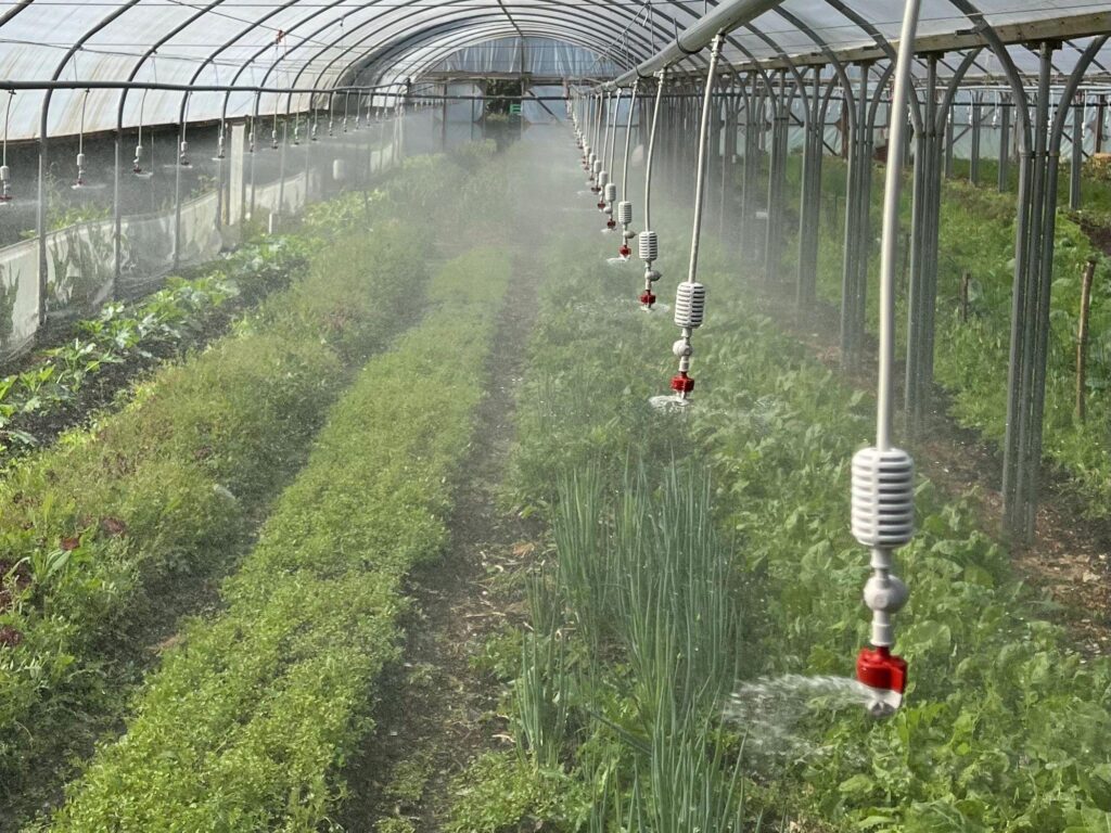 greenhouse irrigation system 