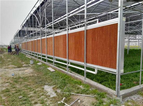greenhouse cooling pad