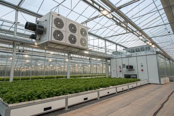 greenhouse exhaust fan