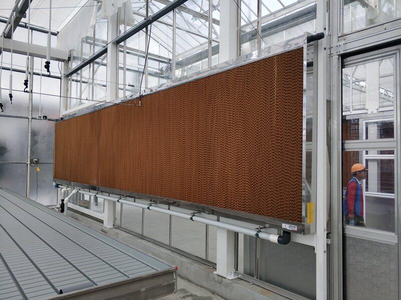 greenhouse cooling pad