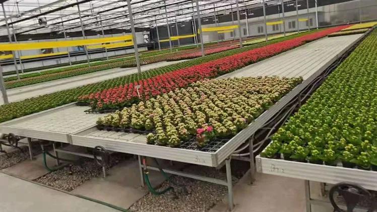 greenhouse rolling bench