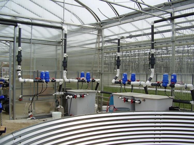 greenhouse fertigation system