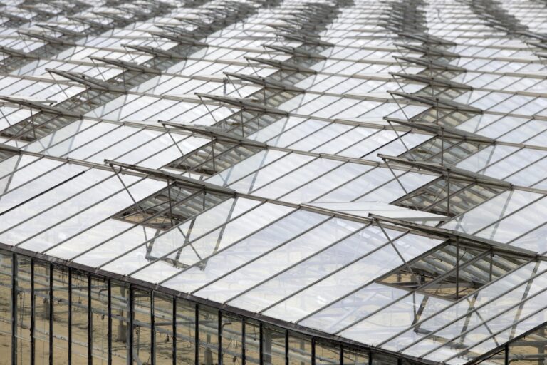 greenhouse roof ventilation system