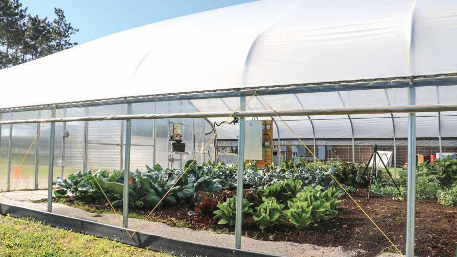 greenhouse side ventilation system