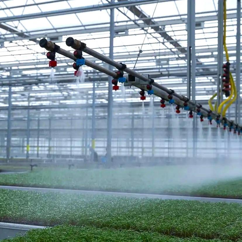 greenhouse humidification system