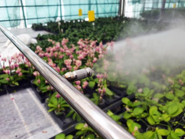 greenhouse humidification system