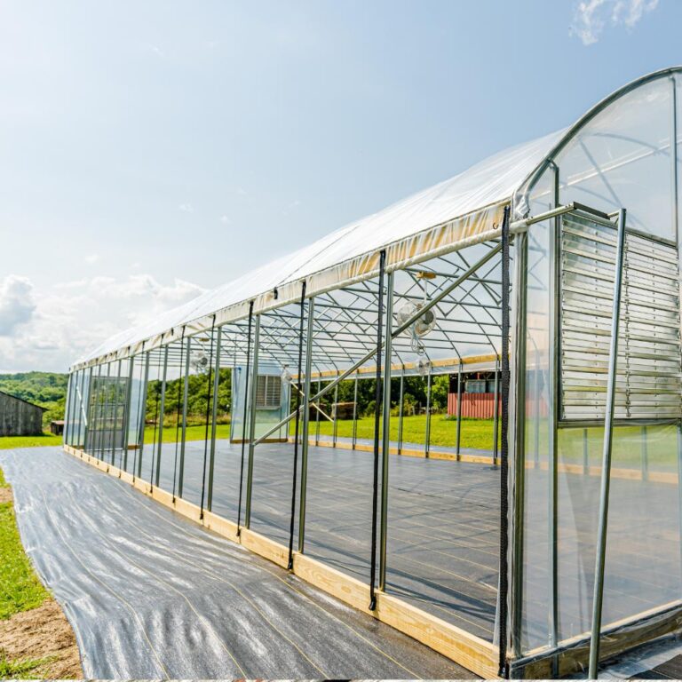 greenhouse side ventilation system