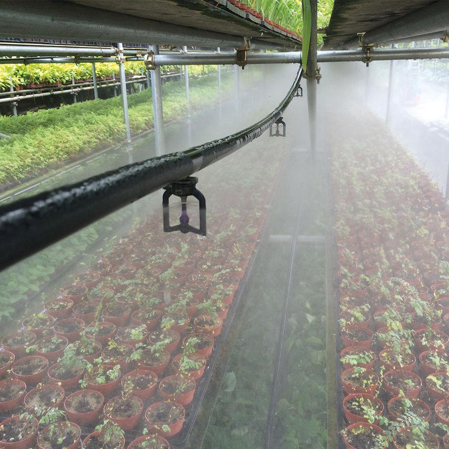 greenhouse humidification system