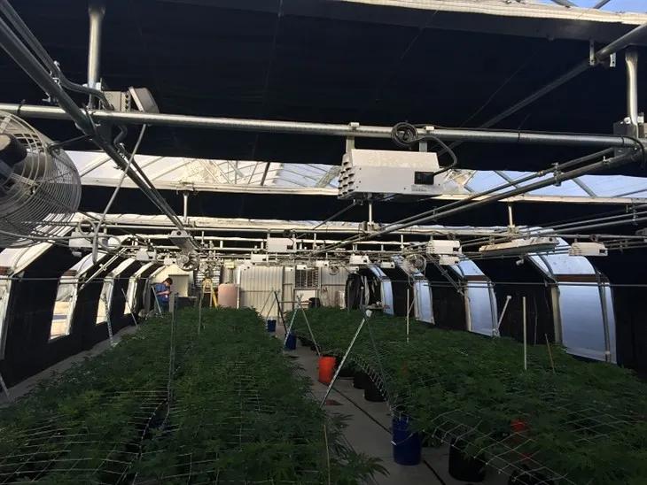 greenhouse blackout system
