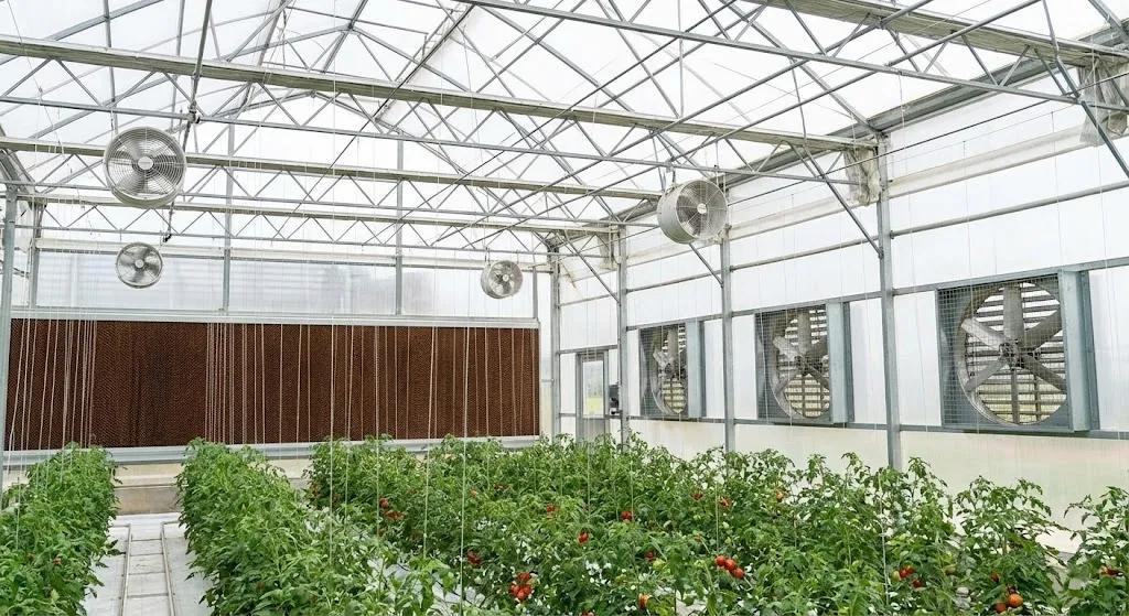 greenhouse side ventilation system