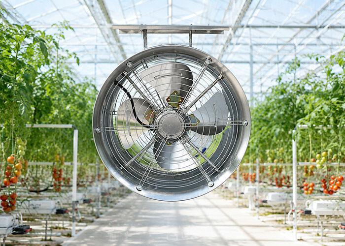 greenhouse circulation fan