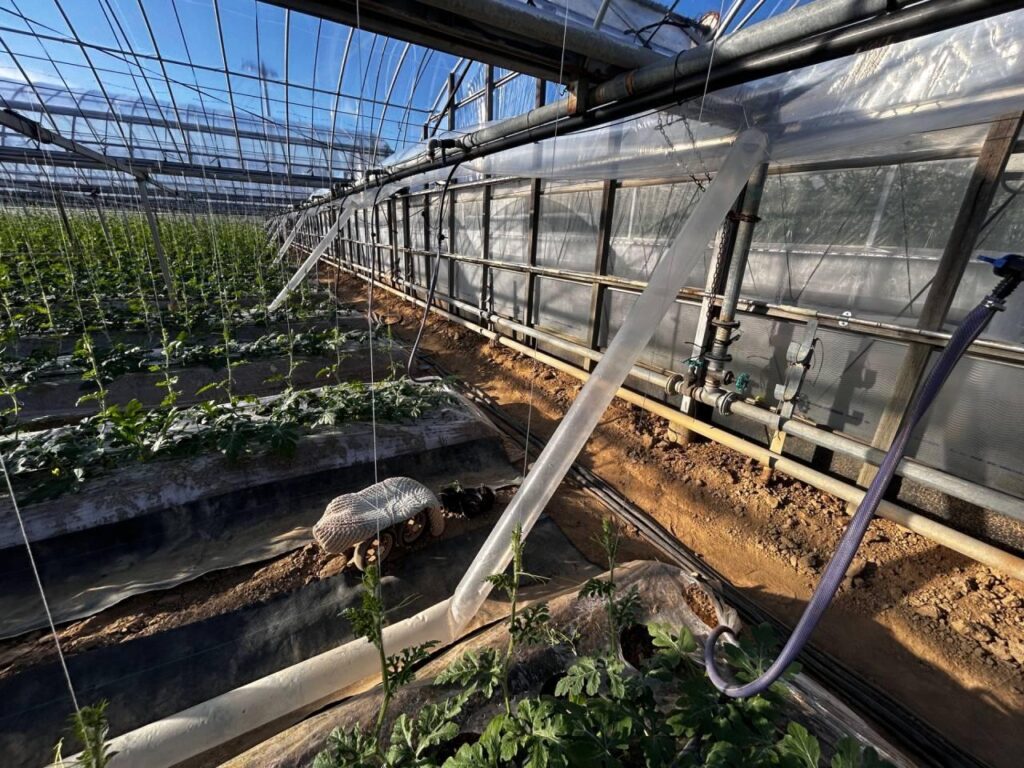 greenhouse CO₂ enrichment system