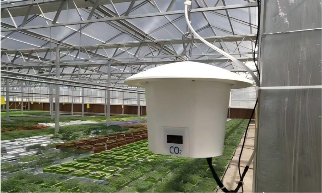 greenhouse CO₂ enrichment system