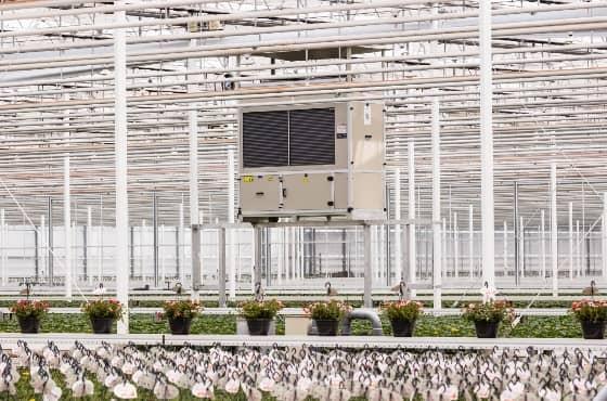 greenhouse dehumidification system