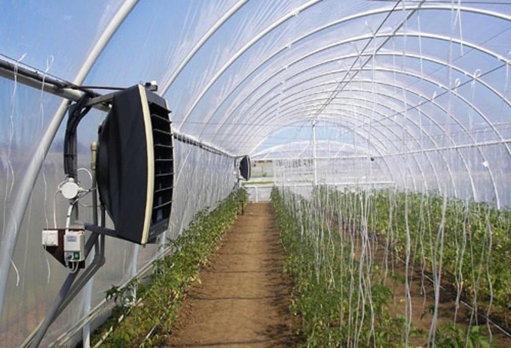 greenhouse CO₂ enrichment system
